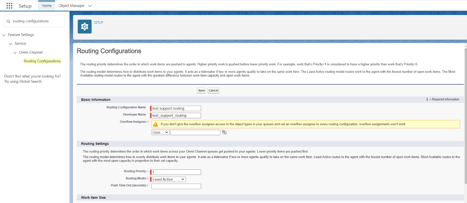 Queue based routing in salesforce - Pashtek