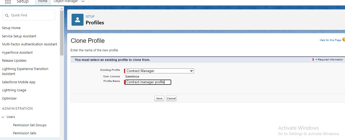 Profile in Salesforce - Pashtek