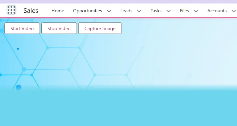 Image capture in LWC